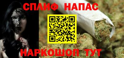 прущие грибы Братск