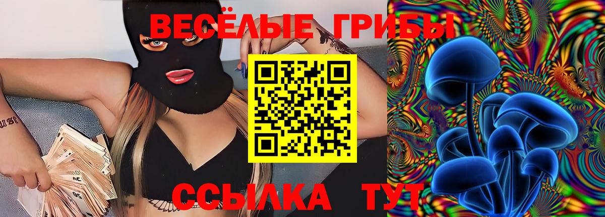 где купить наркотик  Вход с VPN  Качканар  Псилоцибиновые грибы мухоморы 